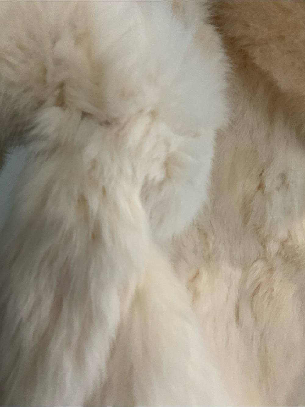 NWT Luxury Real Rabbit Fur Cream Vintage Coat - Stylish Warm Jacket - Picture 16 of 16